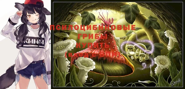 дурь Лихославль