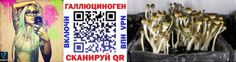 Псилоцибиновые грибы ЛСД  Белгород 